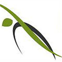 Take Live Online Class with Trainerly