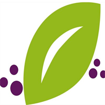 Take Live Online Class with Trainerly